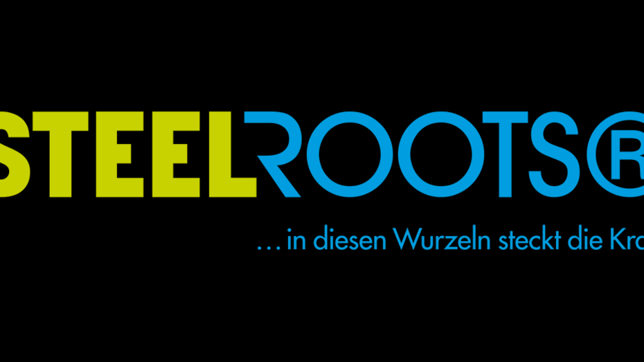 SteelRoots GmbH bei LED-Flutlicht.Bayern by Electric Arning, Inh. Klaus Arning in Waldkraiburg